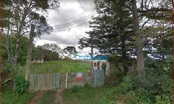 Imagem 6: Área à venda - Butiatuvinha - Curitiba/PR