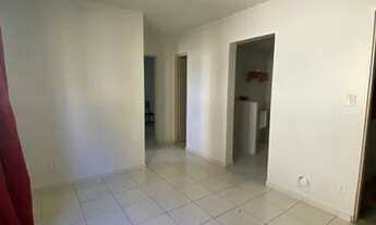 Imagem 3: Paradiso Anturio