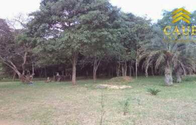 Imagem 5: Sítio 4000m², 2 casas, galpão em frente a RS040