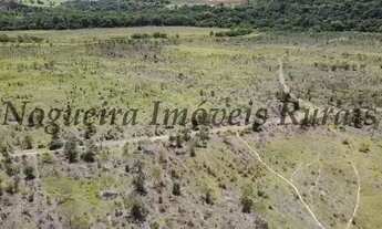 Imagem 6: Fazenda em Itapetininga, rica em água (Nogueira Imóveis Rurais