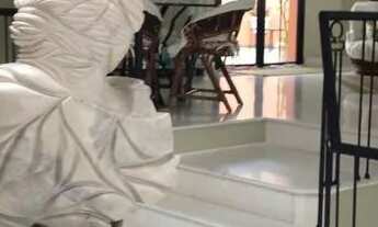 Imagem: Linda Cobertura Duplex a venda Moema 4 dormitórios