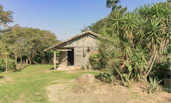 Imagem 5: PORTO ALEGRE - Casa Padrão - Vila Nova