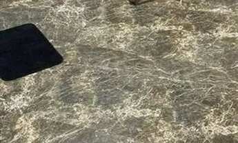 Imagem 3: Casa Casa com 4 dormitórios