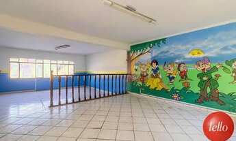 Imagem 7: São Paulo - Casa Comercial - Penha