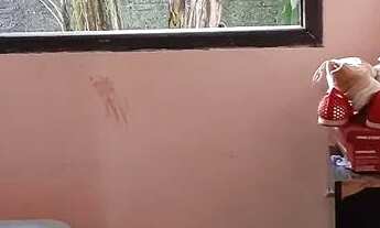 Imagem 4: Vende-se casa Casa com 3 dormitórios