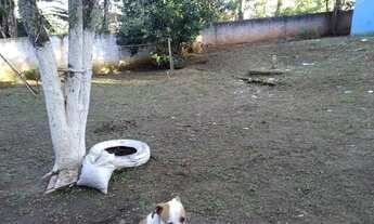 Imagem 2: Chácara dentro da cidade