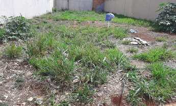 Imagem 3: Terreno em Sertãozinho