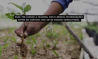 Imagem 4: Fazenda à venda em João Pinheiro em Mina Gerais