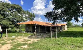 Imagem 2: Fazenda Bnito município de Januária-MG