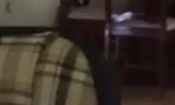 Imagem 7: Chacrinha 2 mil m2 com piscina em Joanópolis SP