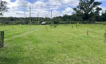 Imagem 3: LINDA CHACARA EM SANTO ANTONIO DA PATRULHA - 2.1 HECTARES