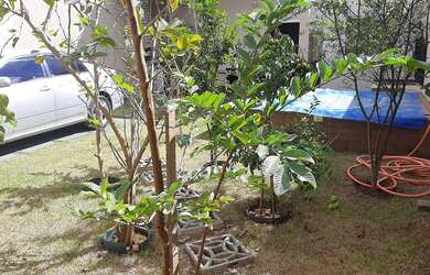 Imagem 4: Excelente casa no Park Sul