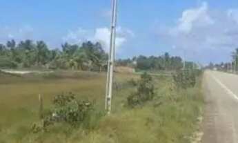 Imagem 3: Terreno próximo a Lagoa dos Tambaquis