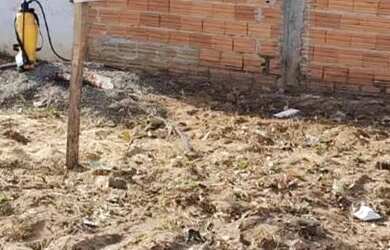 Imagem 3: Vendo terreno na cidade de Monte Alto Aceito Financiamento