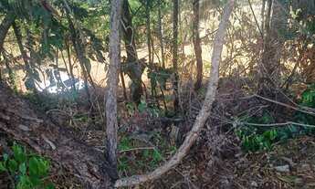 Imagem 2: Vende-se chácara