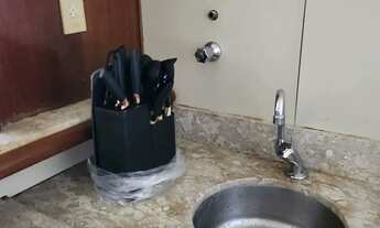 Imagem 6: Imóvel para aluguel possui 50 metros quadrados com 1 quarto em Petrópolis - Natal - RN