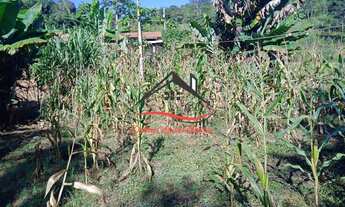 Imagem: Fazenda para Venda - 15 hectares - Desembargador