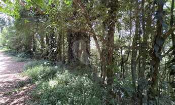 Imagem 2: Terreno à venda em Roseira - SP