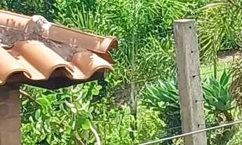 Imagem 3: Vendo Rancho em condomínio-Corumbá IV ALEXÂNIA IV