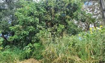 Imagem 5: Venda Terreno Recanto dos Angicos