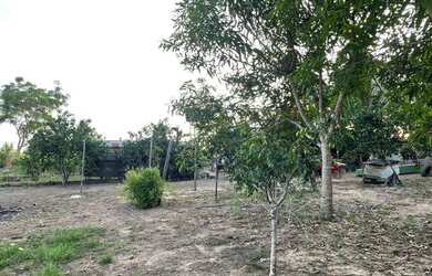 Imagem 4: Chácara à venda em Rorainópolis