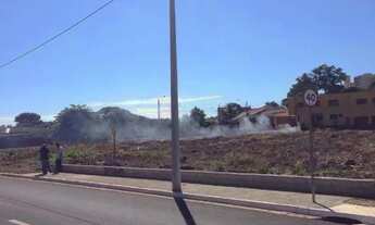 Imagem 3: Terreno, 960 m² - venda por R$ 860.000,00 ou aluguel por R$ 2.691,52/mês - República - Rib