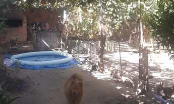 Imagem 6: Casa de 3 quartos à venda no bairrro Tomazetti, Santa Maria, RS