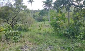 Imagem 6: Imóvel para venda possui 322000 metros quadrados em Zona Rural - Conde - BA