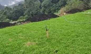 Imagem 3: Sitio - Bairro Pinhal Alto