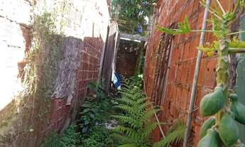 Imagem 4: Vendo casa na rua tulipa em muribequinha