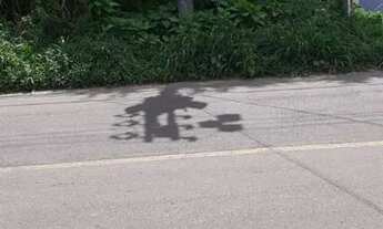 Imagem 6: Terreno com Belas Árvores e Riacho Prox R Theodor Makiolka