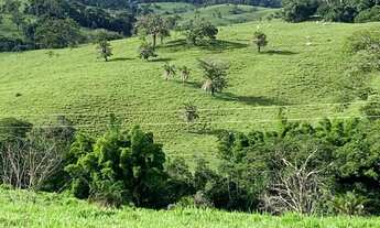 Imagem 3: Fazenda a venda em Ipameri Goiás!!!