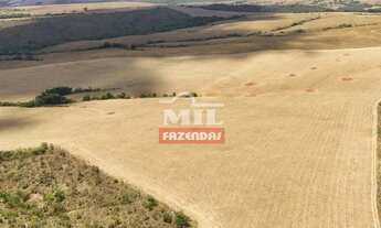 Imagem 2: Fazenda 169,42 Alqueires (820 Hectares) Ipameri - GO