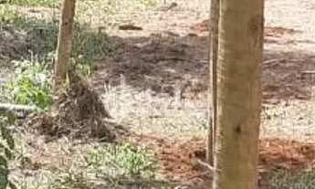 Imagem 3: Área com 25.000m² disponível para venda no bairro Represa de Miranda em Uberlândia-MG