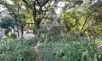 Imagem 4: Excelente lote de terreno com 1.762,50 m² para venda no bairro Park Swan em Bacaxá - Saqua