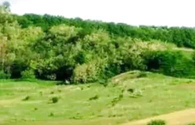 Imagem 2: Excelente Terreno em São Roque: Potencial para Chácara ou Empreendimento Turístico! Dentro