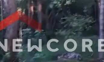 Imagem 7: Lote em Alameda Christiano Pereira Bueno - Jundiaizinho (Terra Preta) - Mairiporã/SP