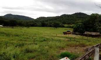 Imagem 6: Fazenda 45 alqueires, Jussara