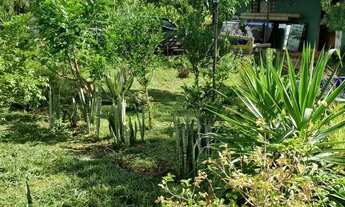 Imagem 3: Mini chacara linda