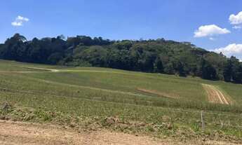 Imagem: Terrenos Planos em Cotia por Apenas R$ 60