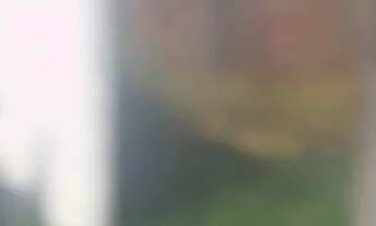 Imagem 3: Terreno praia de matinhos murado