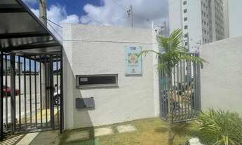 Imagem: Alugo apartamento em Nova Brasília