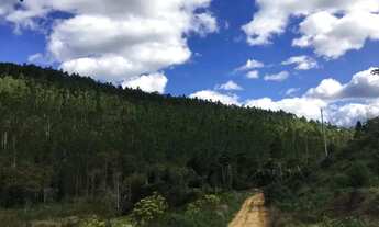 Imagem 6: Fazenda em Centro