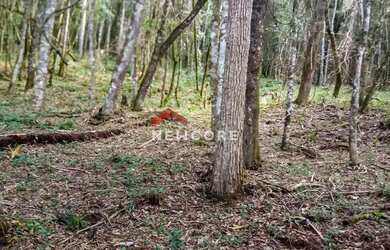 Imagem: Lote em Nova Capivari - Nova Capivari