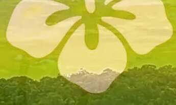 Imagem: Espaço de sobra para seus planos crescerem