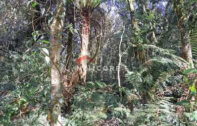 Imagem 6: Lote em Rua São Gotardo - São Bernardo - São Francisco de Paula/RS