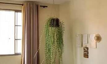 Imagem: Vendo apartamento 90mil