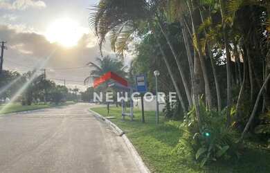 Imagem 3: Lote em Alameda São Caetano - Boracéia - São Sebastião/SP