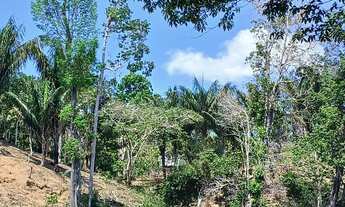 Imagem 7: Sítio avenda medindo 290 x 2000