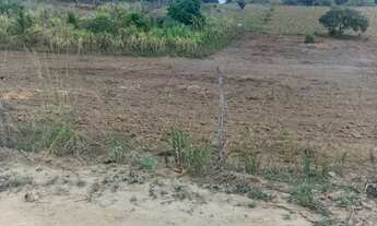 Imagem 3: SITIO - ORICURI ATALAIA - AL